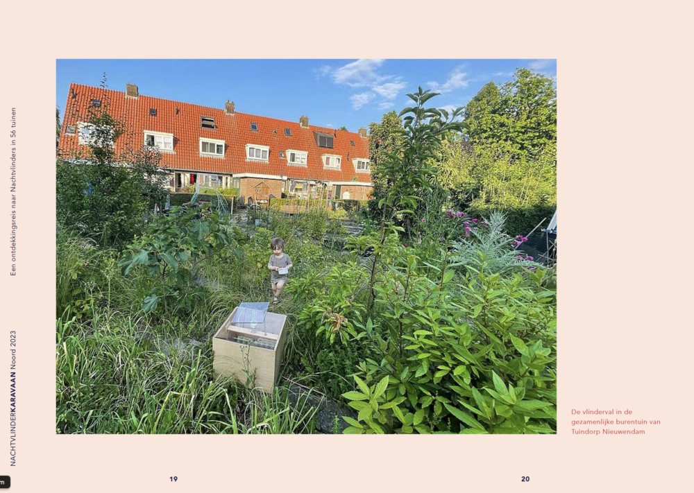 Screenshot 2024-08-02 at 20.41.05