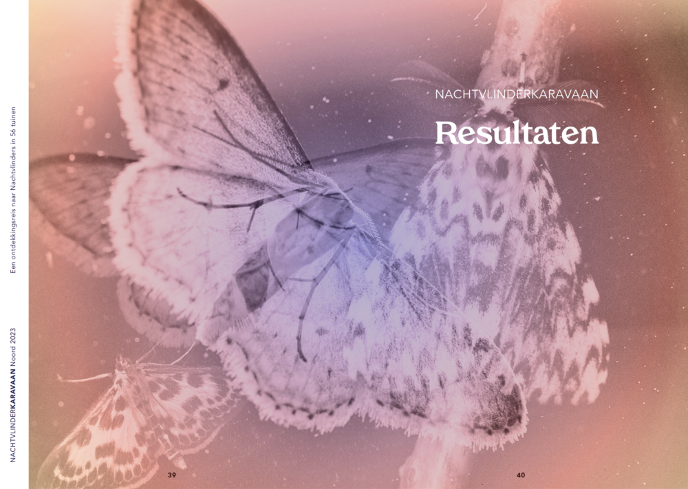 Screenshot 2024-08-02 at 20.41.35