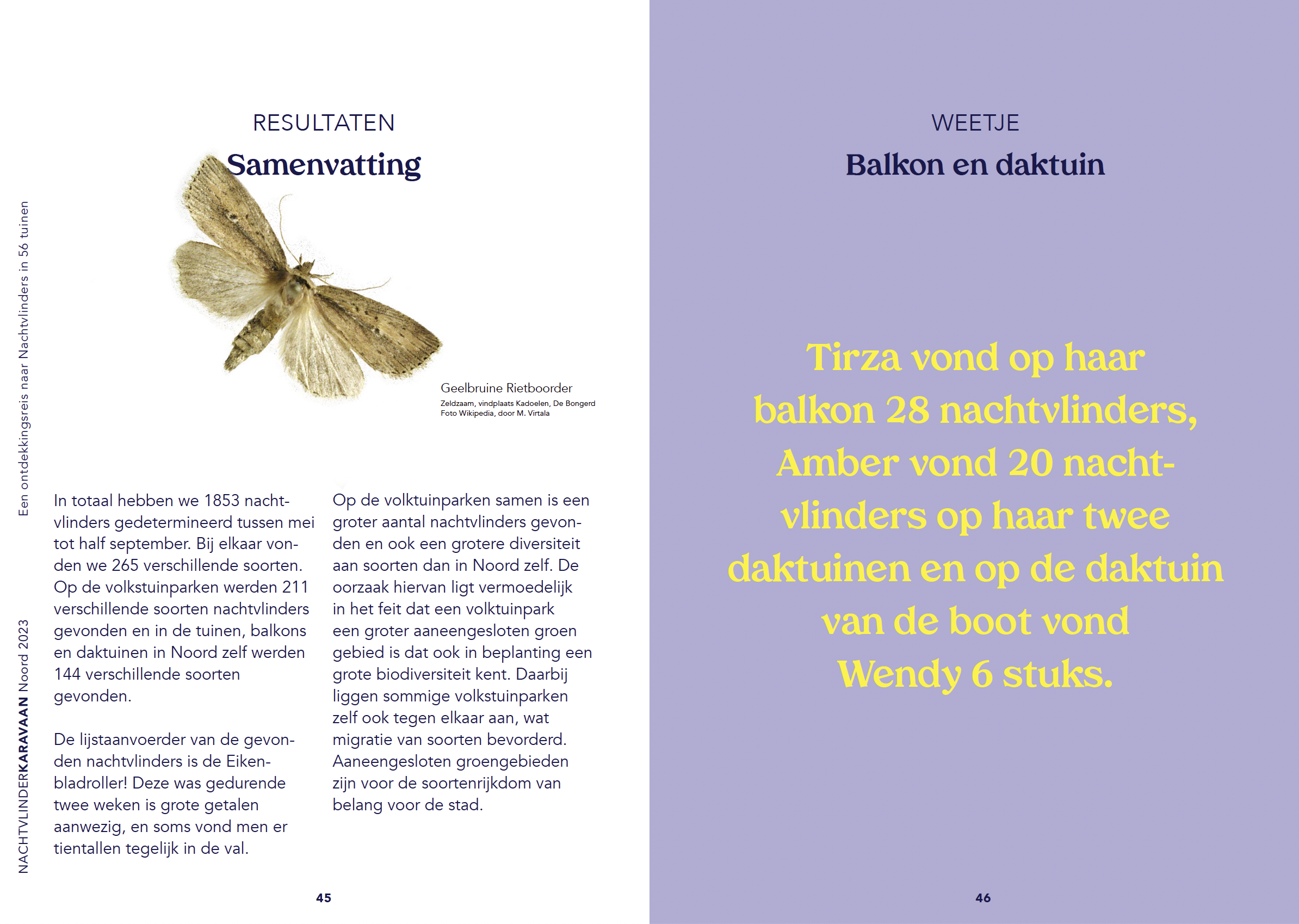 Screenshot 2024-08-02 at 20.42.08