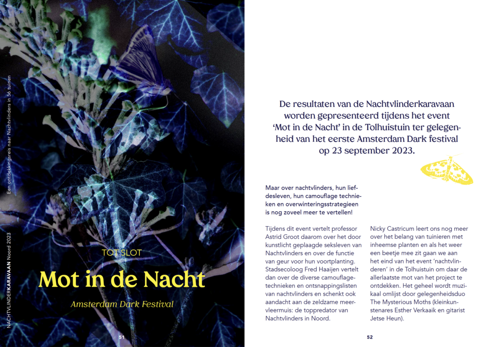 Screenshot 2024-08-02 at 20.42.21