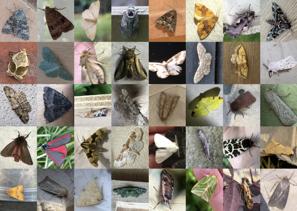 Screenshot 2024-08-02 at 20.42.37